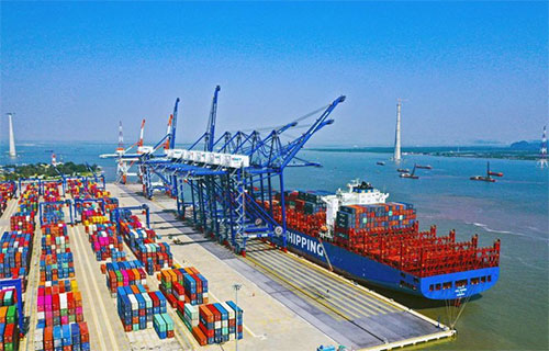 Traders must submit Import Permits automatically