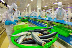 COLOMBIA is the 7th largest market of Vietnam pangasius export