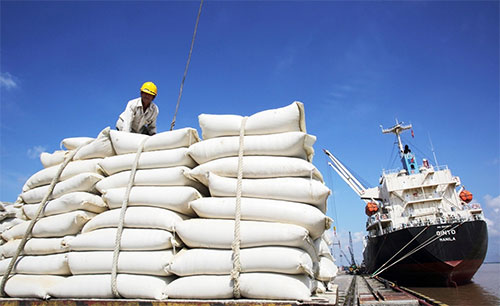 Vietnam exports rice to many large markets
